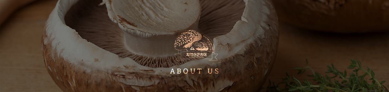 원주버섯영농조합법인